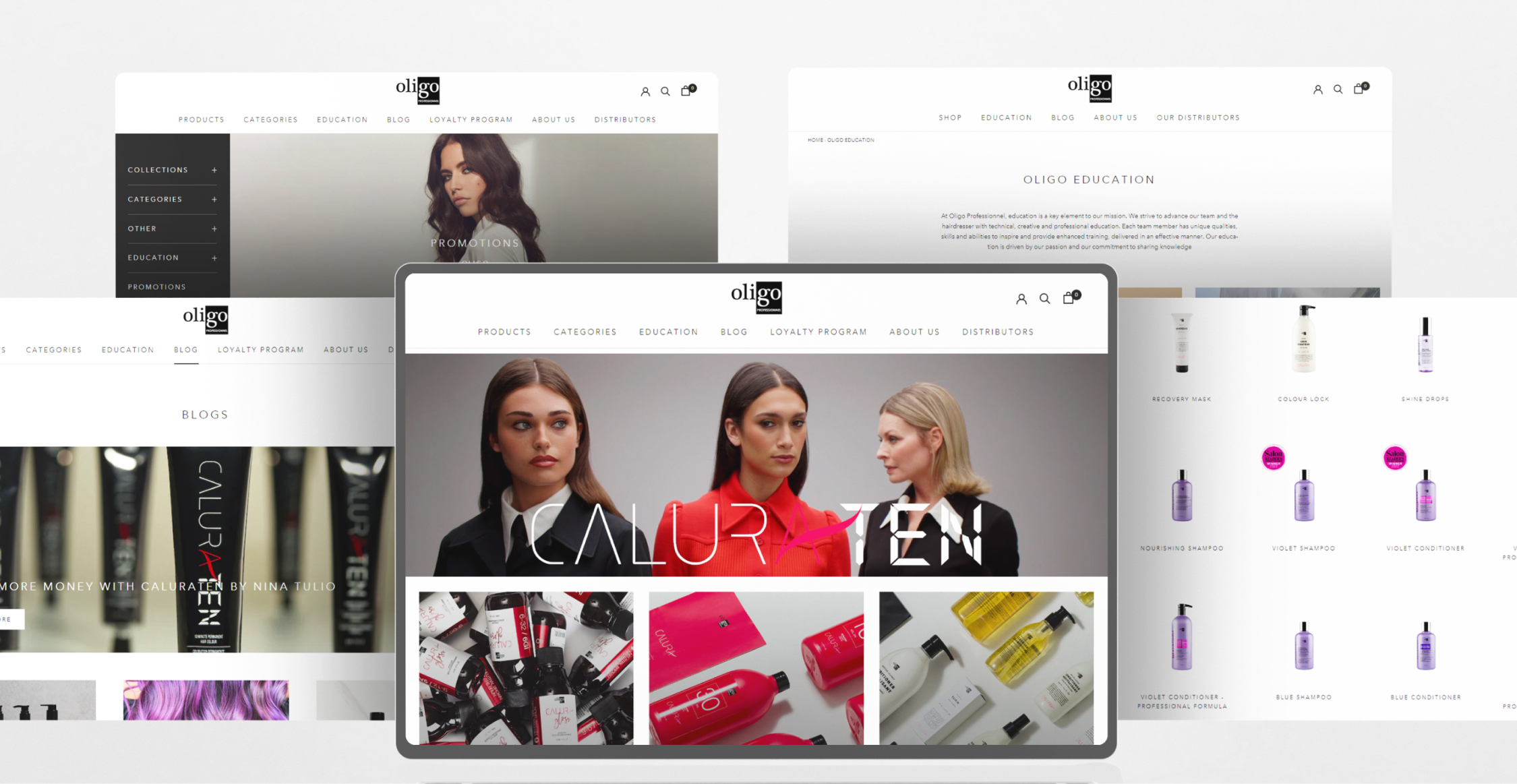 Mid-page Gallery photo